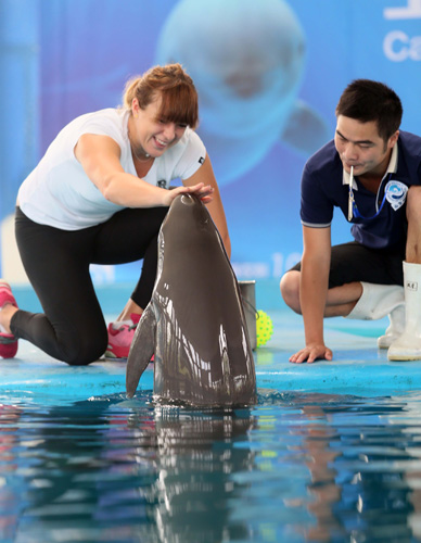 攻型球员 攻型球员