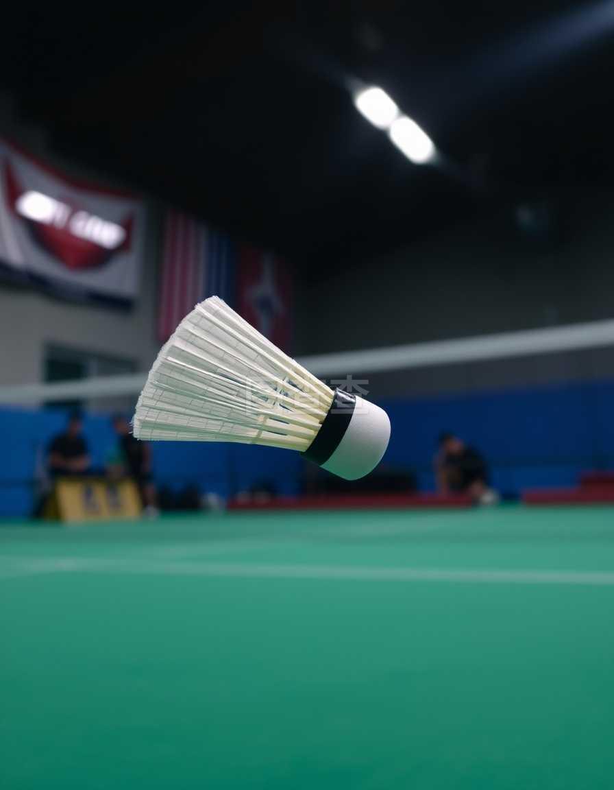 的目标显然 的目标显然