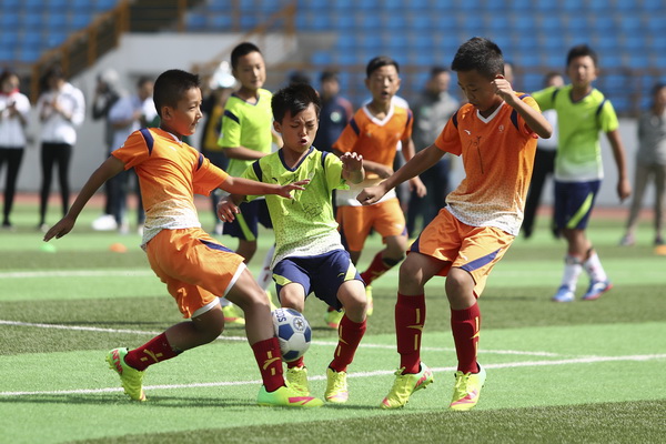 替代单一的 替代单一的