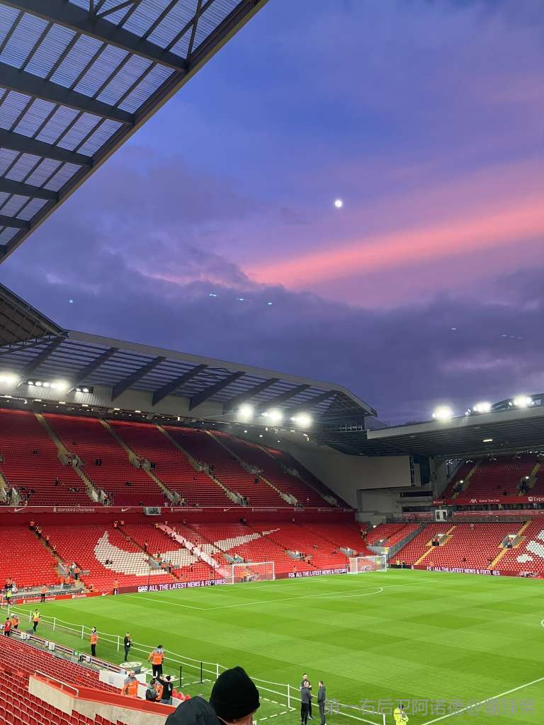 而是趋势线 而是趋势线